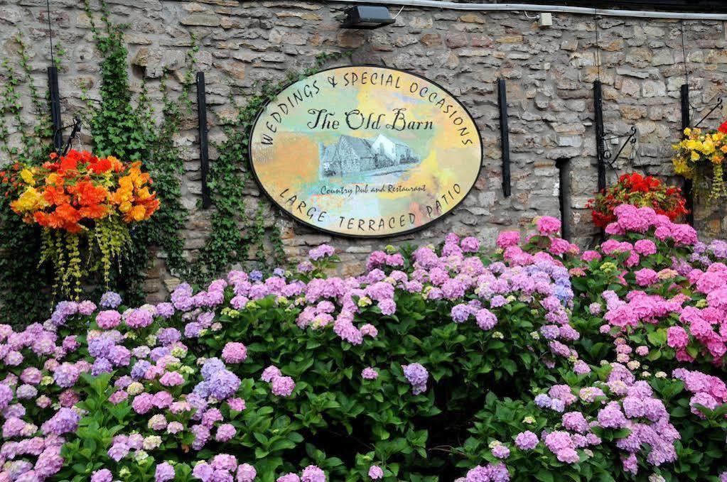 The Old Barn Inn Newport  Extérieur photo