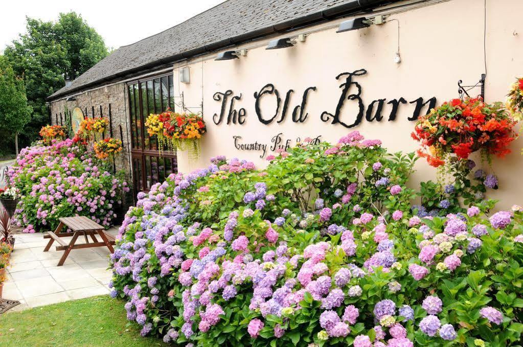The Old Barn Inn Newport  Extérieur photo